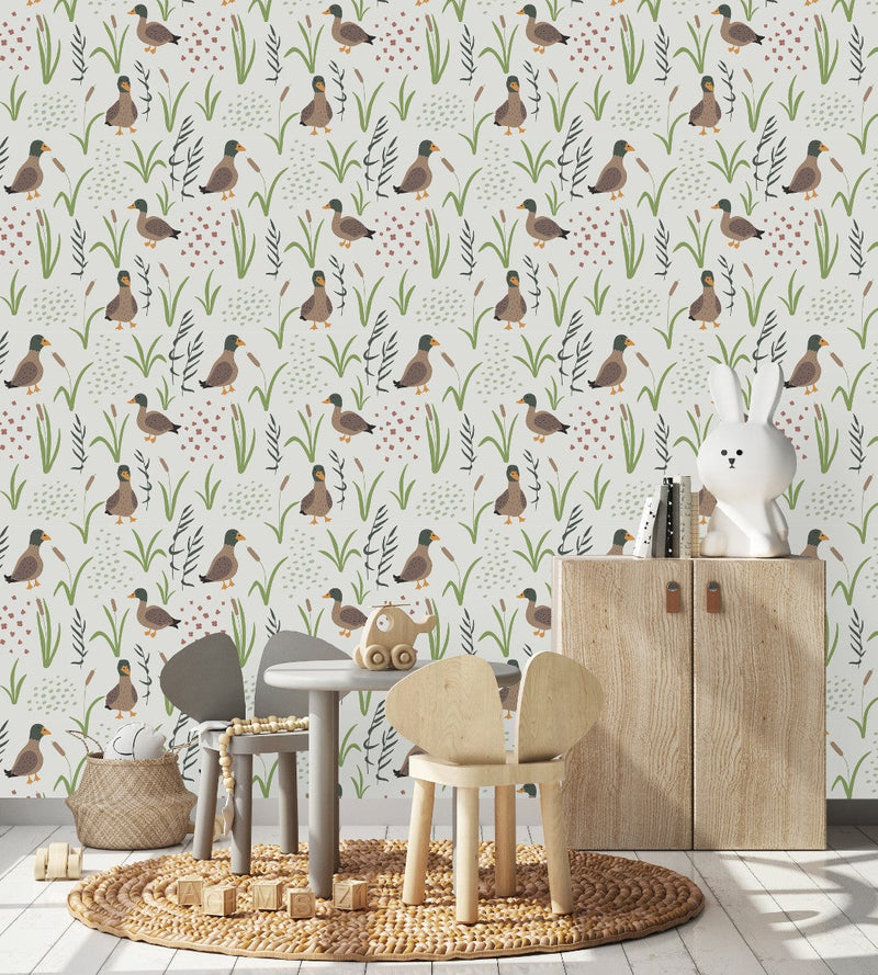 Ducks Wallpaper