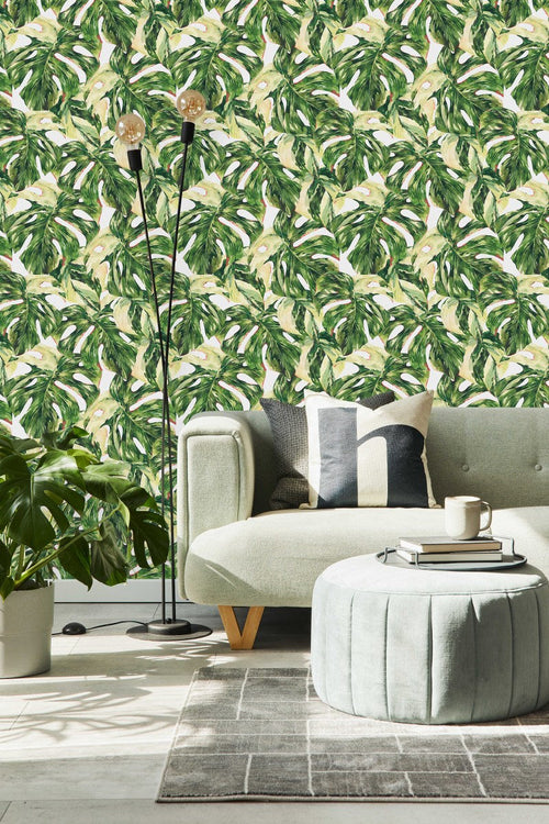 Voguish Monstera Wallpaper Vogue