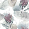 Protea with Grey Spots Wallpaper