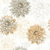 Asters Wallpaper