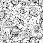 Black and White Protea Wallpaper