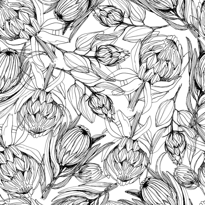 Black and White Protea Wallpaper
