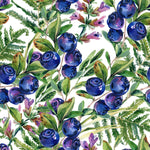 Voguish Blueberry Wallpaper Tasteful