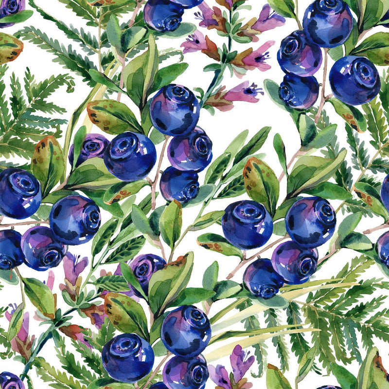 Voguish Blueberry Wallpaper Tasteful