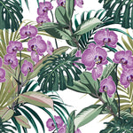 Orchid Flowers and Exotic Leaves Wallpaper